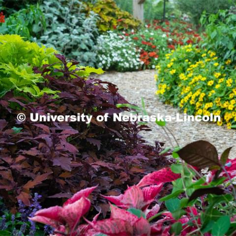 Backyard Farmer garden on UNL’s East Campus. August 7, 2019. Photo by Gregory Nathan / University Communication.